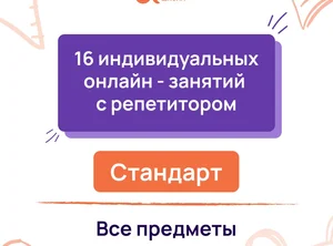 16 индивидуальных онлайн - занятий с репетитором