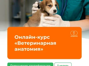 Патологическая ветеринарная анатомия и ветеринарная экспертиза