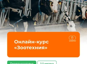 Онлайн-курс Зоотехния