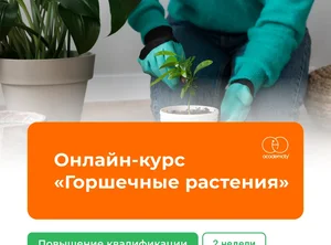 Онлайн-курс Горшечные растения